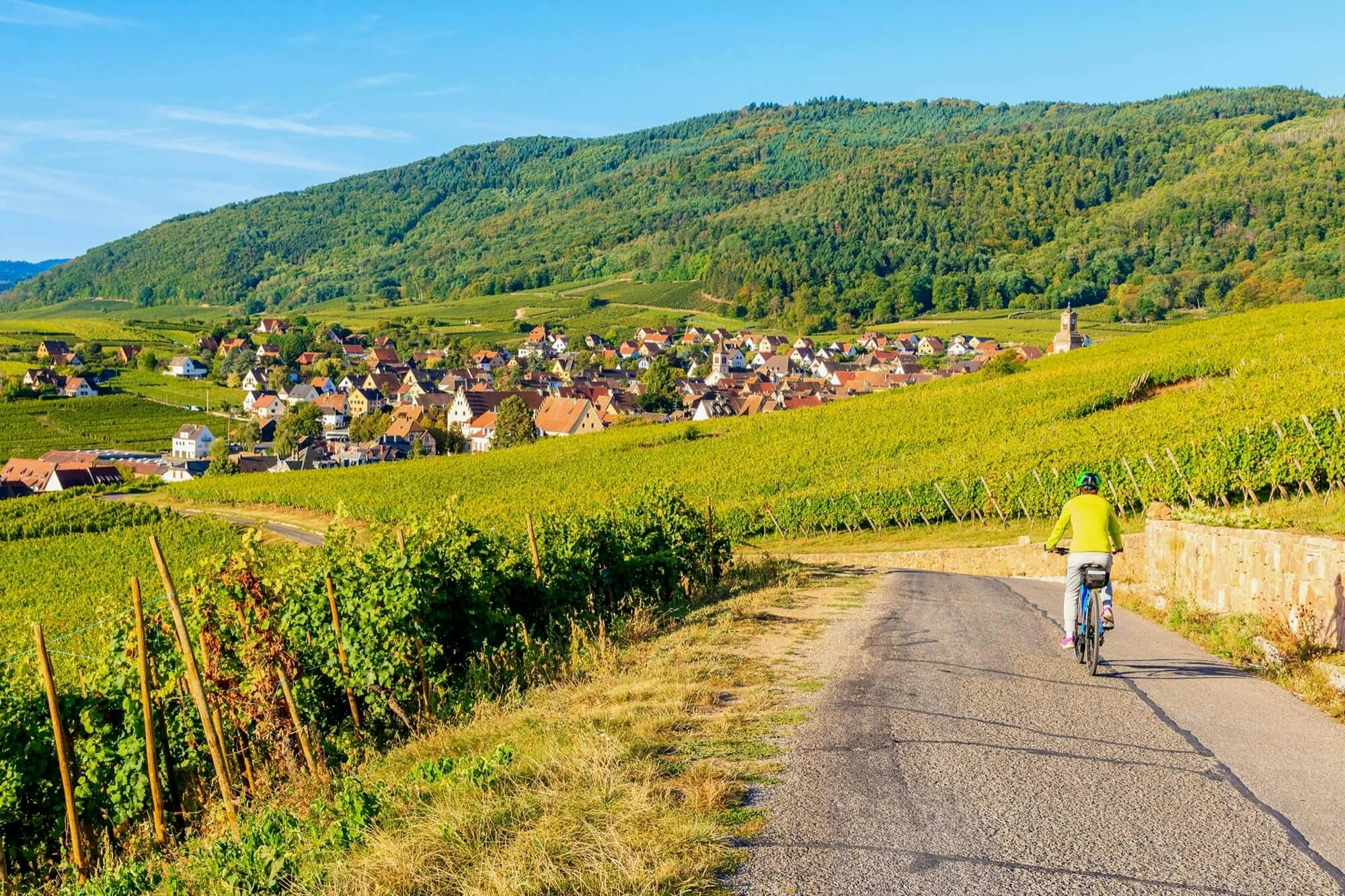 Alsace Easy Cycling Holiday